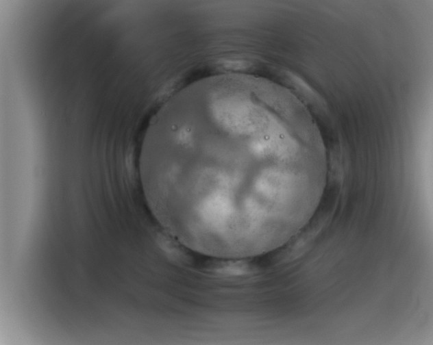 X0000115410377200911101616