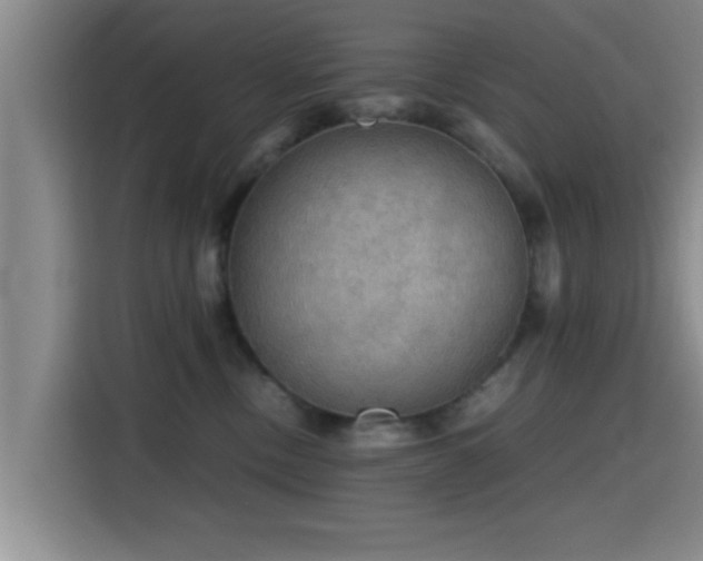 X0000115410378200911101616