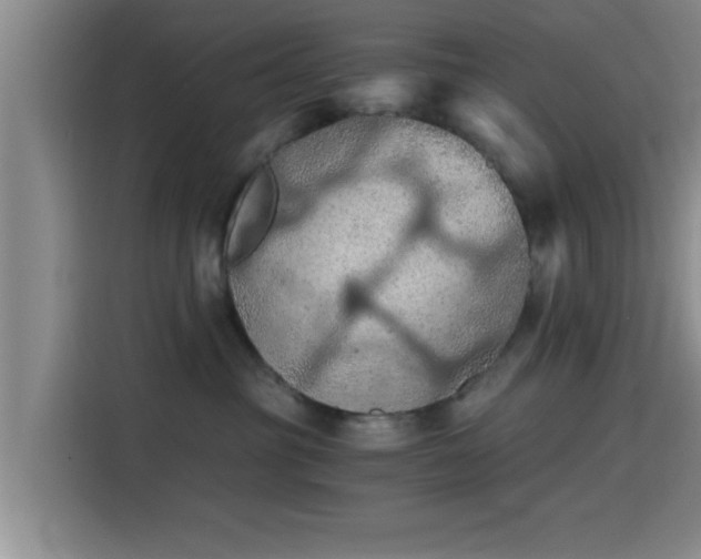 X0000115410381200911101616