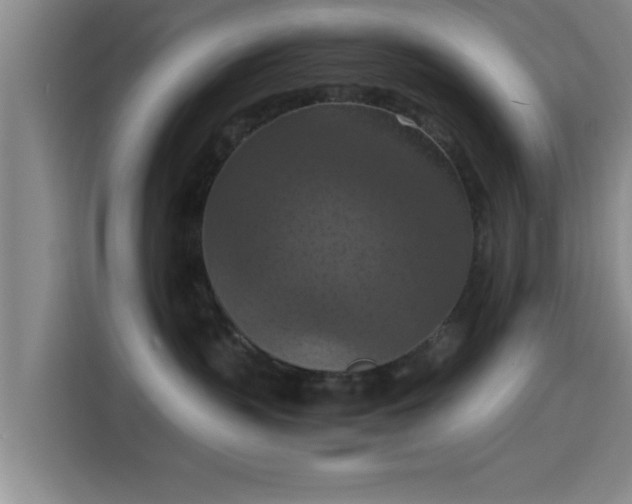 X0000115410383200911101616