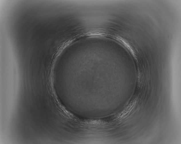 X0000115410385200911101616