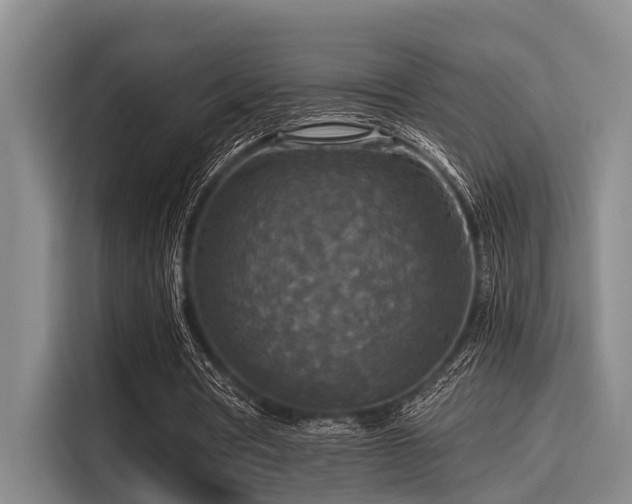 X0000115410386200911101616