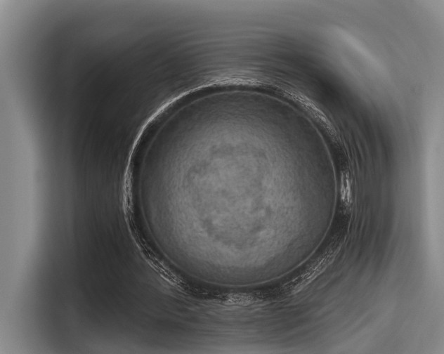 X0000115410388200911101616