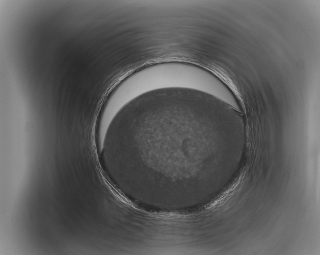 X0000115410389200911101616