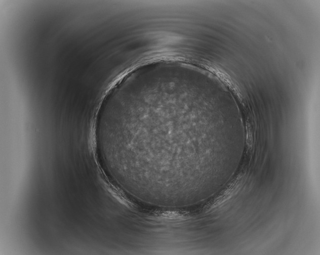 X0000115410390200911101616