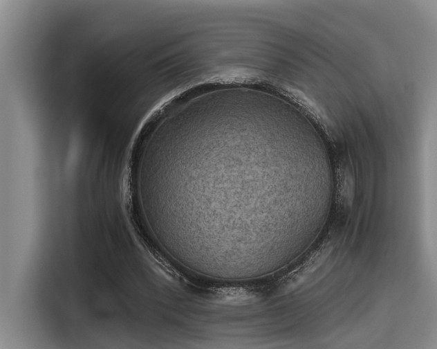 X0000115410392200911101616