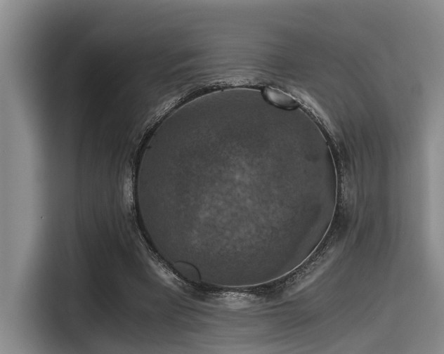 X0000115410393200911101616