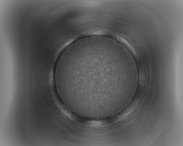 X0000115410394200911101616