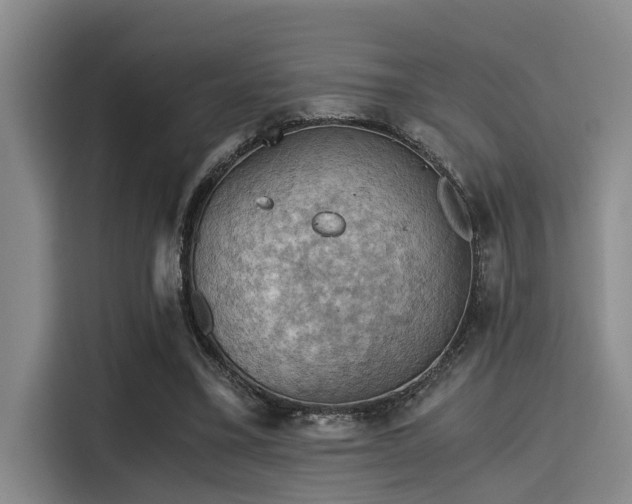 X0000115410395200911101616