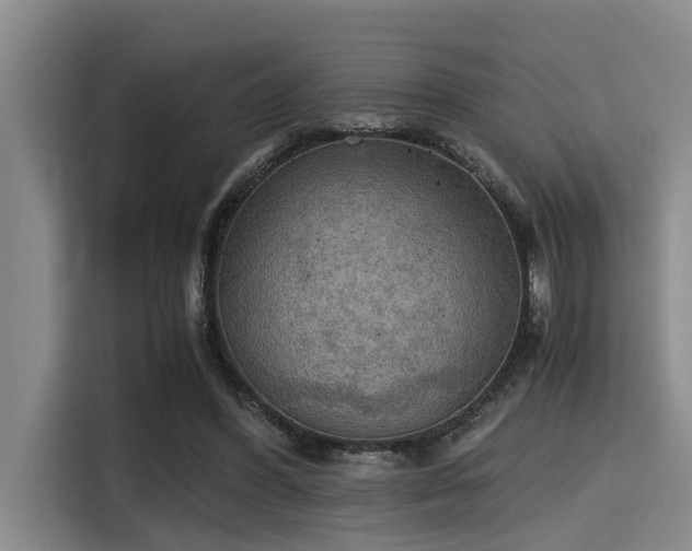 X0000115410396200911101616