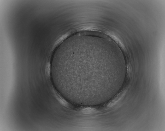 X0000115410397200911101616