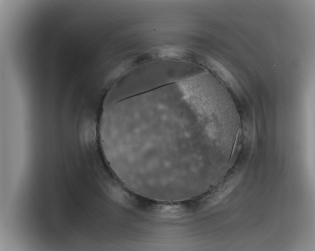 X0000115410401200911101615