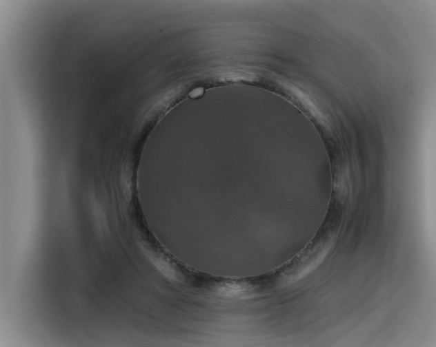 X0000115410402200911101615