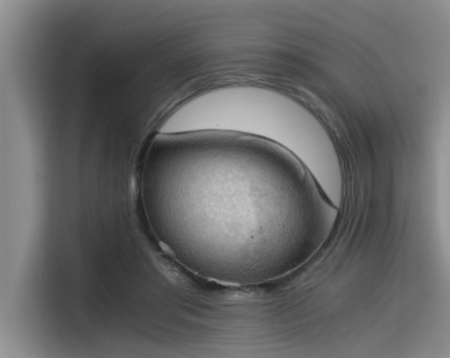 X0000115410405200911101615