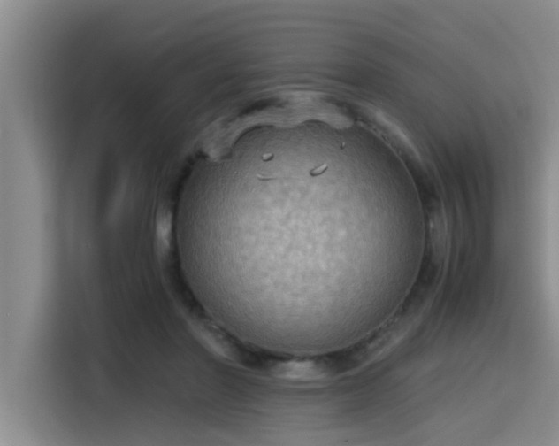 X0000115410406200911101615
