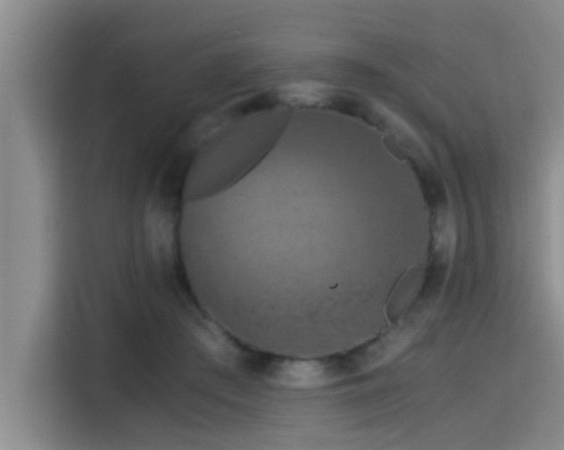 X0000115410409200911101615