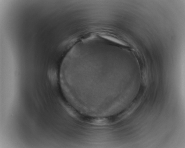 X0000115410410200911101615