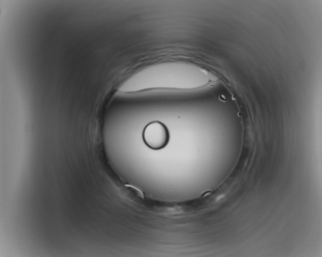 X0000115410411200911101615