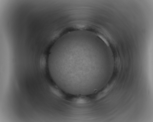 X0000115410412200911101615