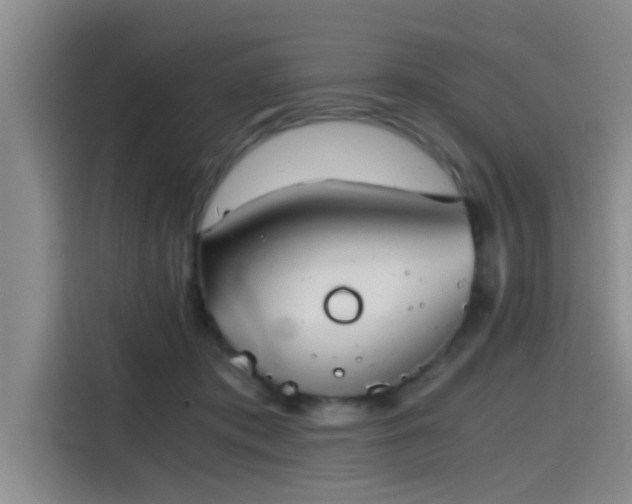 X0000115410413200911101615