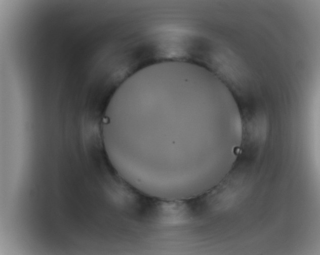 X0000115410415200911101615