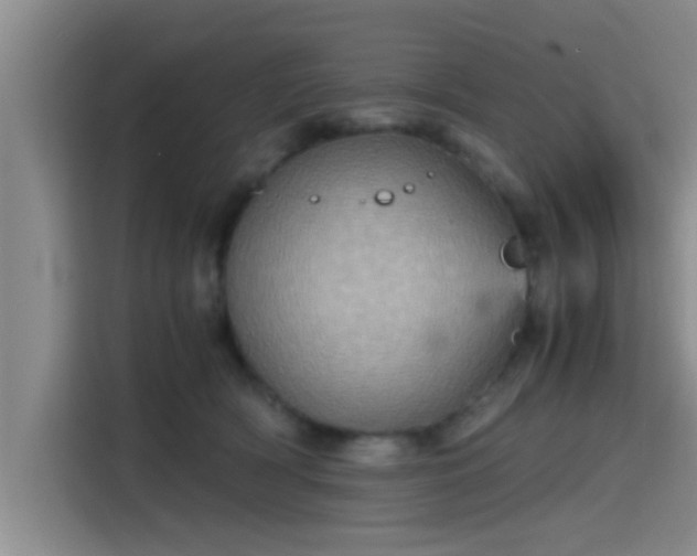 X0000115410418200911101615