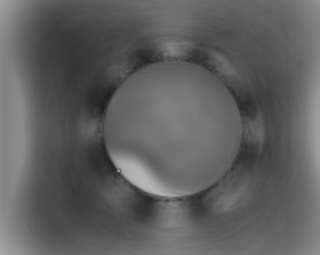 X0000115410419200911101615