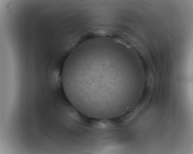 X0000115410420200911101615