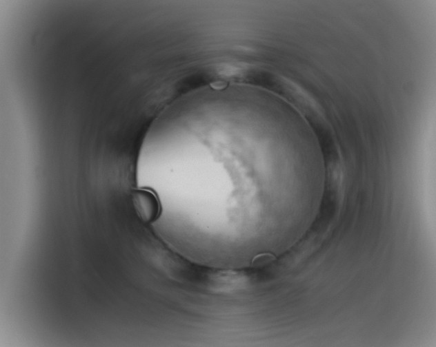 X0000115410421200911101615