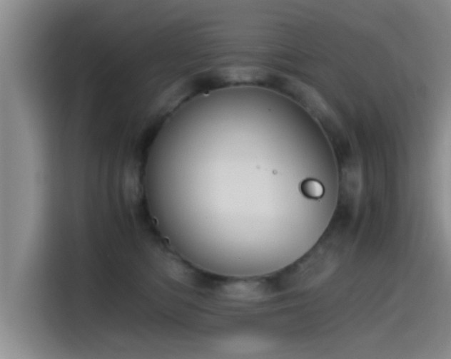 X0000115410422200911101615