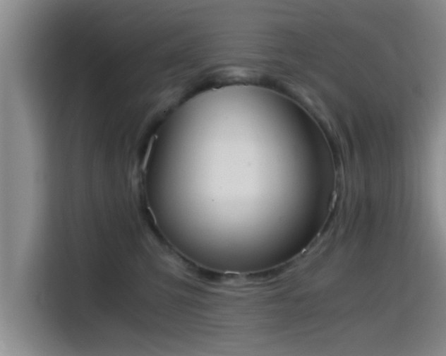 X0000115410423200911101615