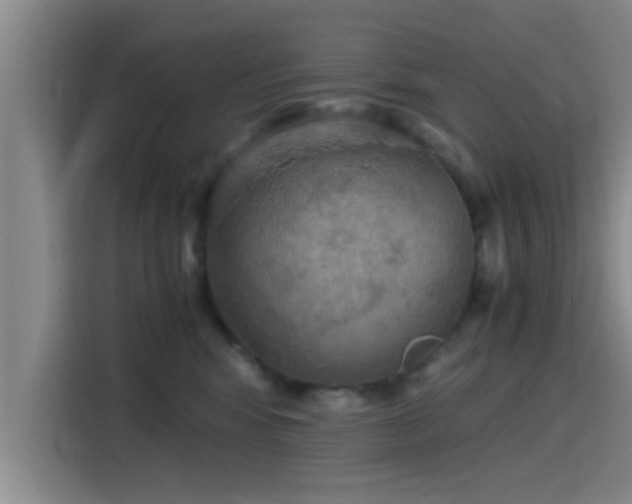 X0000115410424200911101615