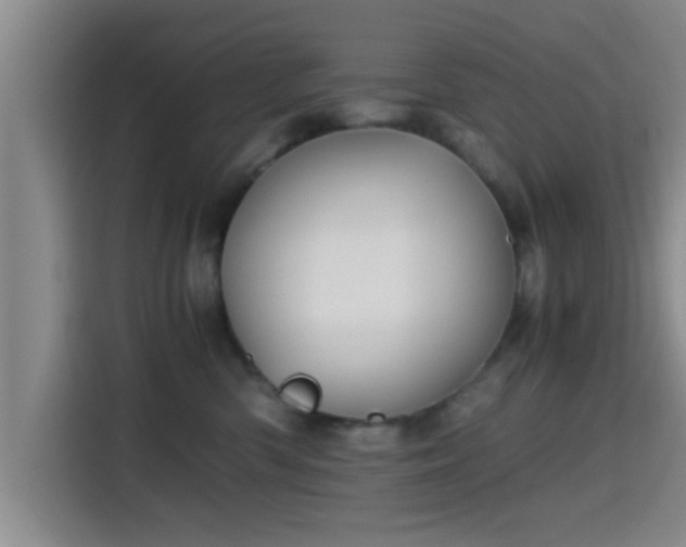 X0000115410426200911101615