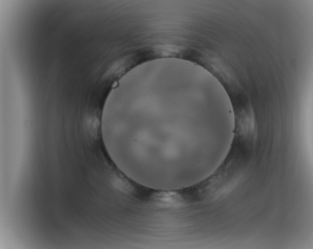 X0000115410427200911101615