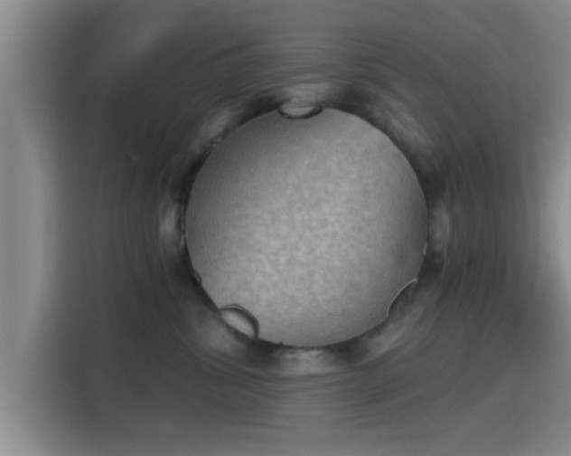 X0000115410428200911101615
