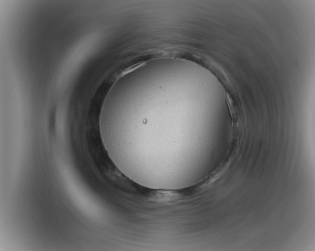 X0000115410429200911101615