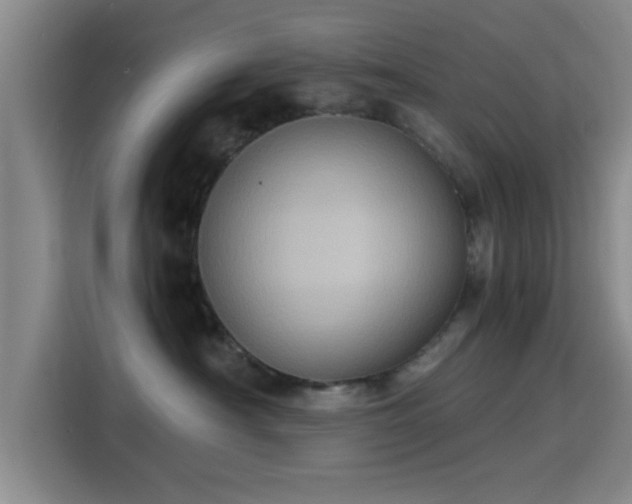 X0000115410430200911101615
