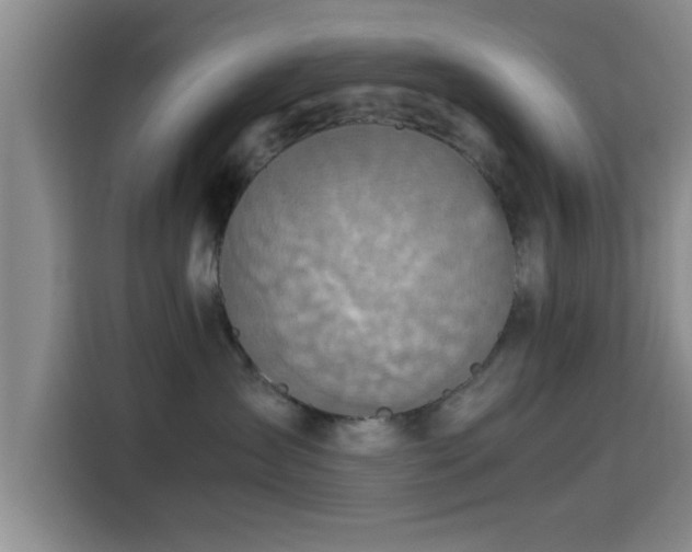 X0000115410431200911101615