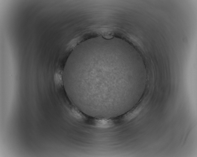 X0000115410432200911101615