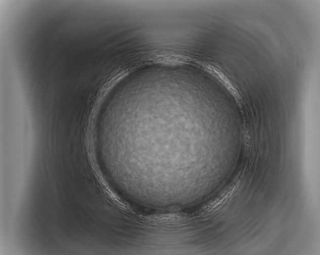 X0000115410433200911101614