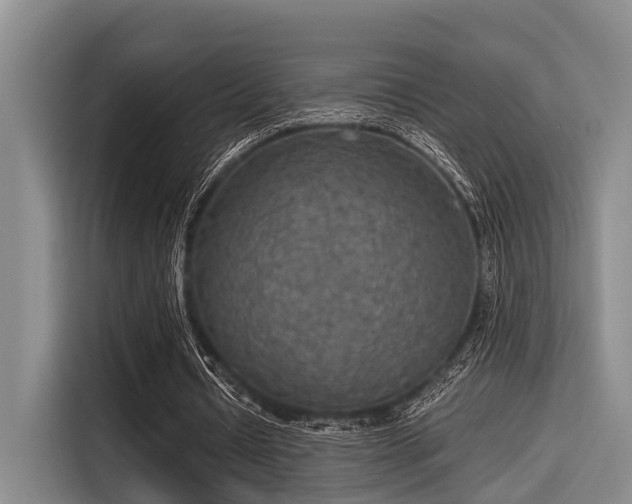 X0000115410434200911101614