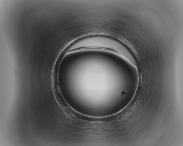 X0000115410436200911101614