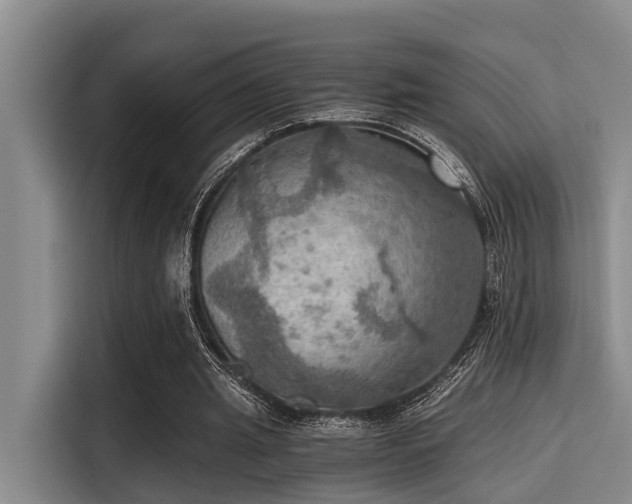 X0000115410437200911101614