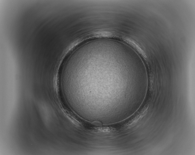 X0000115410439200911101615