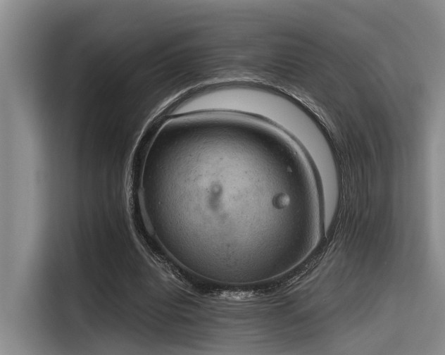 X0000115410440200911101615