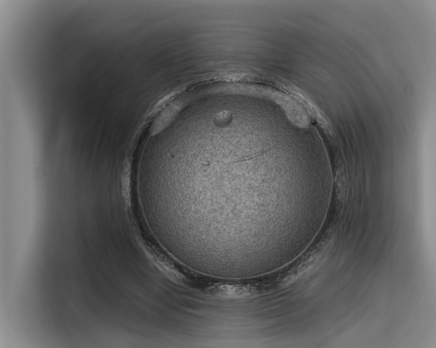 X0000115410442200911101615