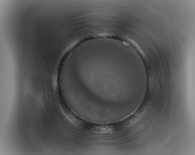 X0000115410443200911101615