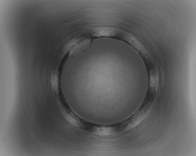 X0000115410444200911101615