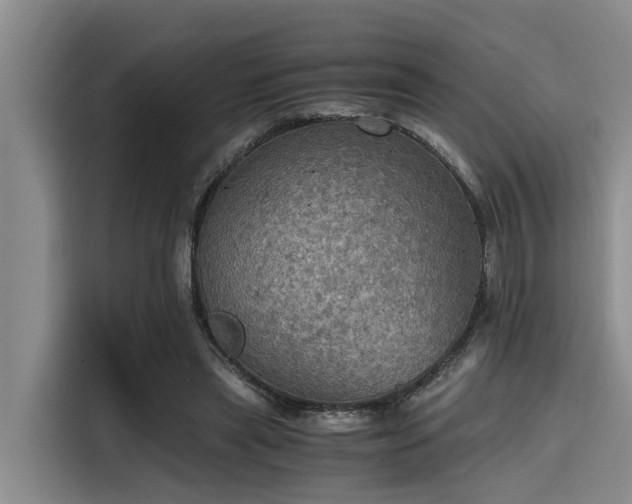 X0000115410445200911101615