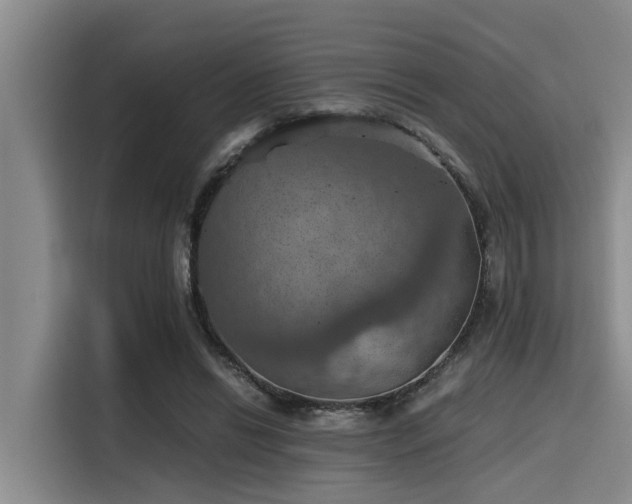 X0000115410446200911101615